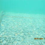 Underwater Leveling and Block Laying Services
