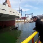 Ship Launching & Slipway Mooring and Removal Services