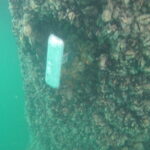 Cathodic Protection and Anode Installation Services